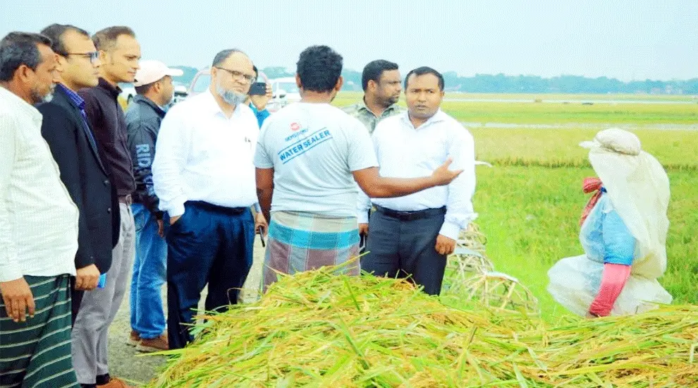 ধান কাটার কাজ দ্রুত করতে হাওরে জেলা প্রশাসক
