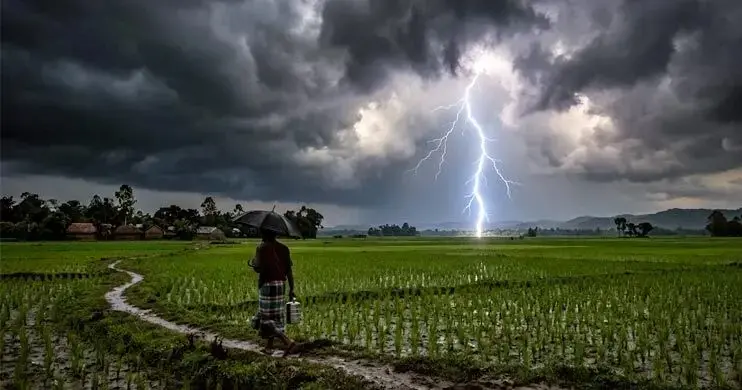 হাওরে কৃষকের আতঙ্ক বজ্রপাত