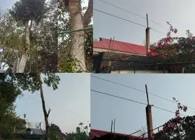 ঝুঁকিতে বড়লেখা-জুড়ীর বিদ্যুৎ লাইন, বাড়ছে আতঙ্ক