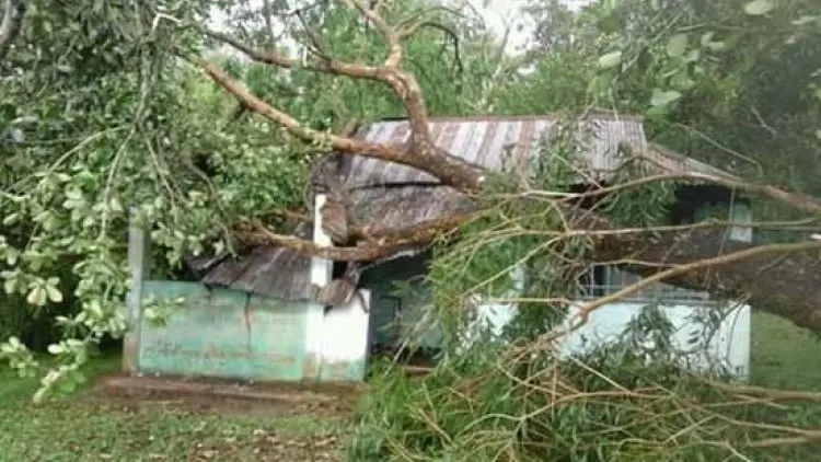 কমলগঞ্জে ঝড়ে গাছ ভেঙ্গে রেল ও সড়কপথ সাময়িক বন্ধ, নিম্নাঞ্চল প্লাবিত