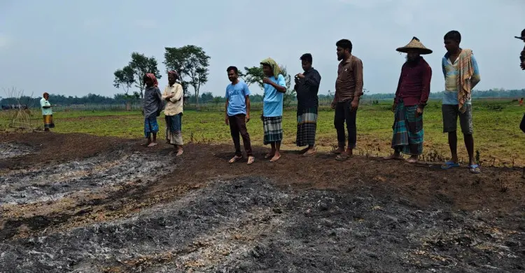 কমলগঞ্জে আগুনে পুড়ল কৃষকের স্বপ্ন কমলগঞ্জে আগুনে পুড়ল কৃষকের স্বপ্ন