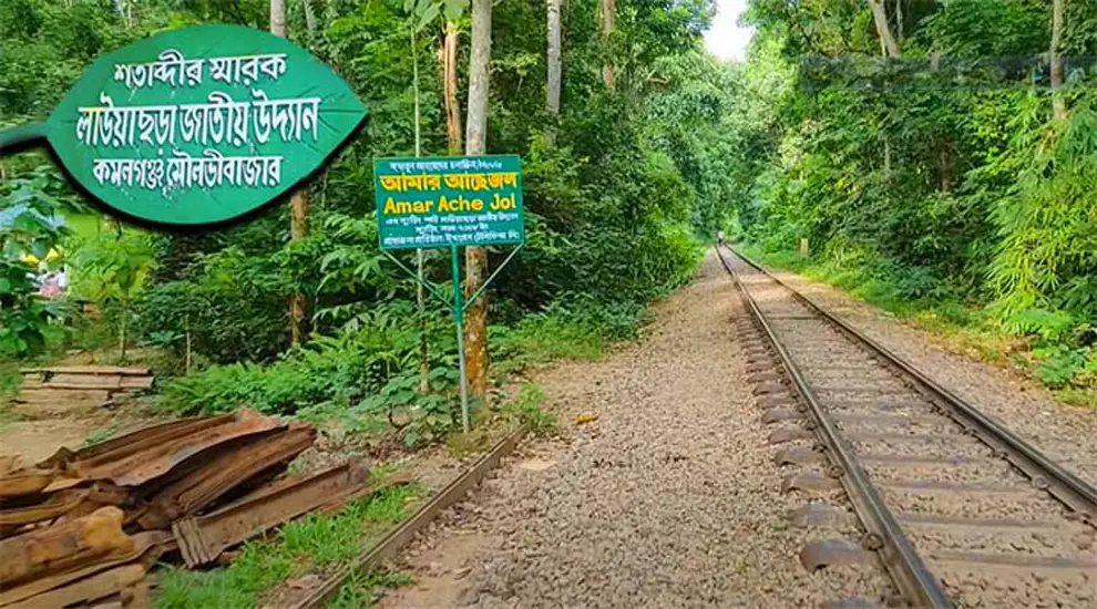 লাউয়াছড়া জাতীয় উদ্যানের সংকট: বন হুমকির মুখে লাউয়াছড়া জাতীয় উদ্যান