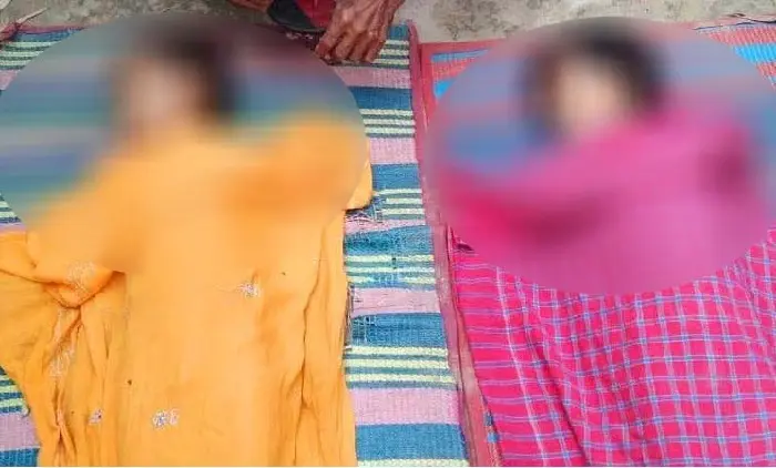 বানিয়াচংয়ে পুকুরে ডুবে ভাই-বোনের করুণ মৃত্যু হবিগঞ্জে খেলতে গিয়ে পুকুরে ডুবে ভাই-বোনের মৃত্যু