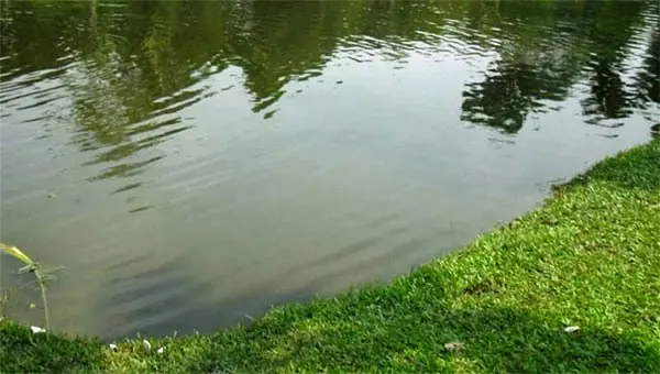 সুনামগঞ্জের দোয়ারাবাজার উপজেলায় পুকুরে ডুবে দুই শিশুর মৃত্যু