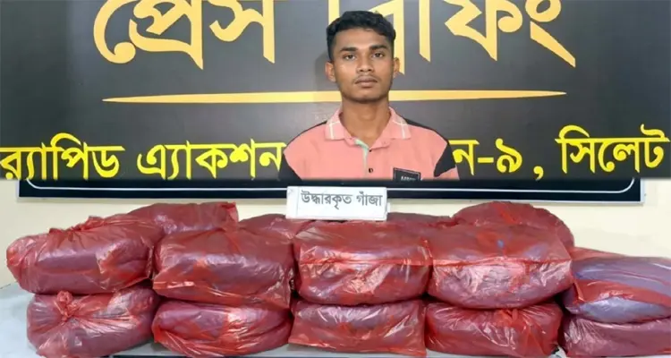 মাধবপুরে ৩৫ কেজি গাঁজাসহ মাদক কারবারি গ্রেফতার