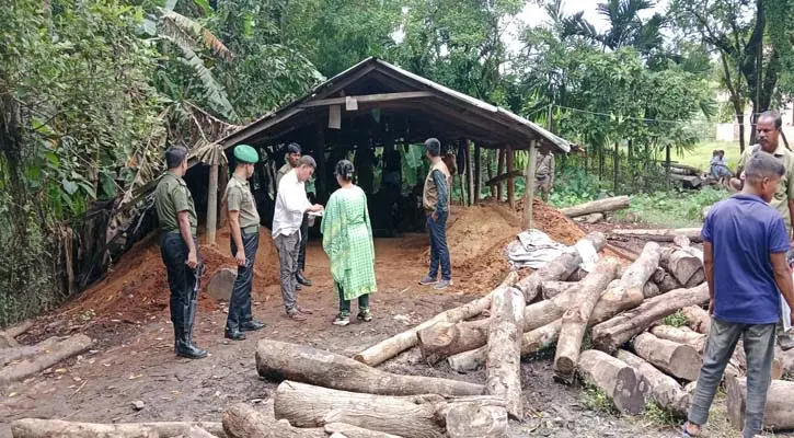 হবিগঞ্জে বনবিভাগের অভিযানে কাঠ জব্দ
