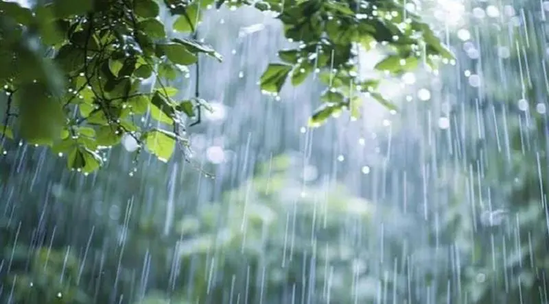 সাত বিভাগে বজ্রবৃষ্টির আভাস, কোথাও শিলাবৃষ্টির শঙ্কা