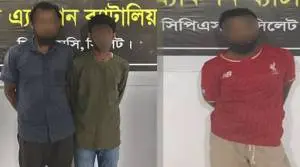 লোহারপাড়ায় প্রতিবন্ধী নারী নির্যাতন, গ্রেপ্তার ৩