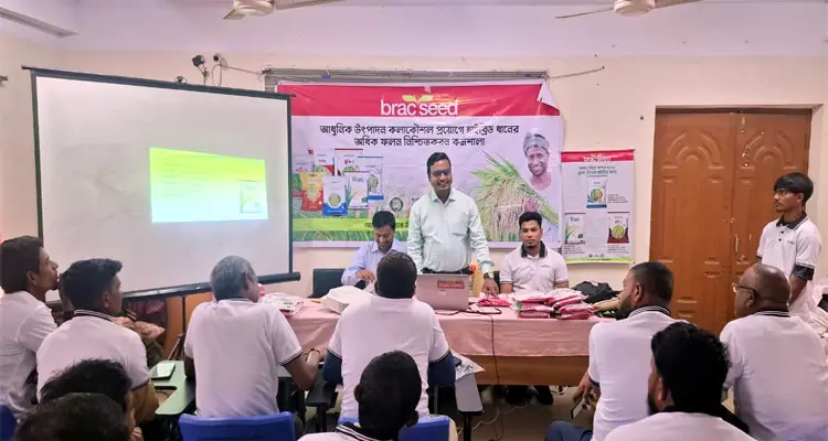 নবীগঞ্জে ব্রাক সিডের উদ্যোগে হাইব্রিড ধানের ফলন বৃদ্ধিতে কর্মশালা