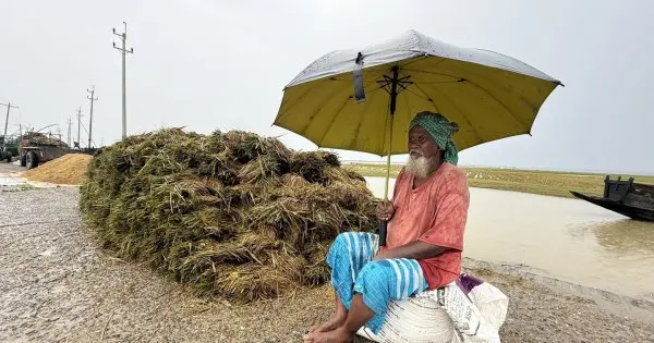 হাওরের কৃষকের ঘুম-শান্তি কেড়ে নিয়েছে ‘পানি’