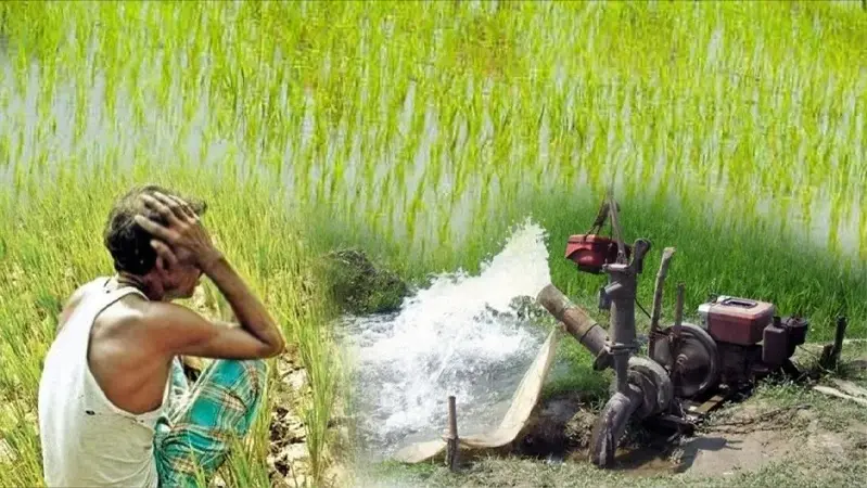 জ্বালানি সংকটে হাওরের ধান ঘরে তোলা অনিশ্চিত জ্বালানি সংকটে বোরো ধান নিয়ে দুশ্চিন্তায় কৃষকরা