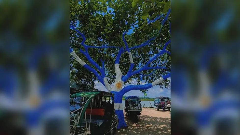মাধবপুরে আর্জেন্টিনার পতাকার আদলে সাজানো গাছ