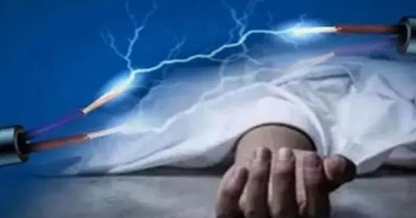 হবিগঞ্জে গাছ কাটতে গিয়ে বিদ্যুৎস্পৃষ্ট, ঝরল কিশোরের প্রাণ নবীগঞ্জে বিদ্যুৎস্পৃষ্টে কিশোরের মৃত্যু