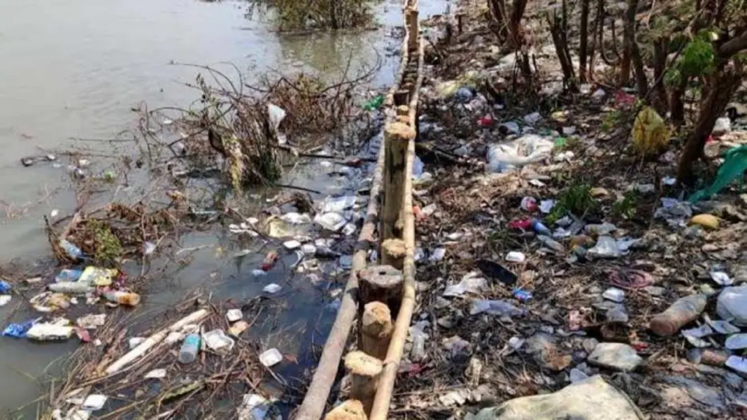 কালনী নদী এখন প্লাস্টিকের ভাগাড় প্লাস্টিক দূষণে বিপর্যস্ত কালনী নদী