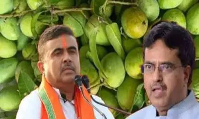 পশ্চিমবঙ্গে বাংলাদেশের আম, কূটনৈতিক সম্পর্কের নতুন বার্তা