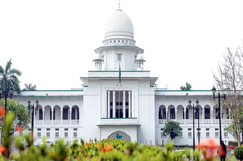 টুথপেস্টে মাইক্রোপ্লাস্টিক: উচ্চ আদালতের তদন্ত নির্দেশ