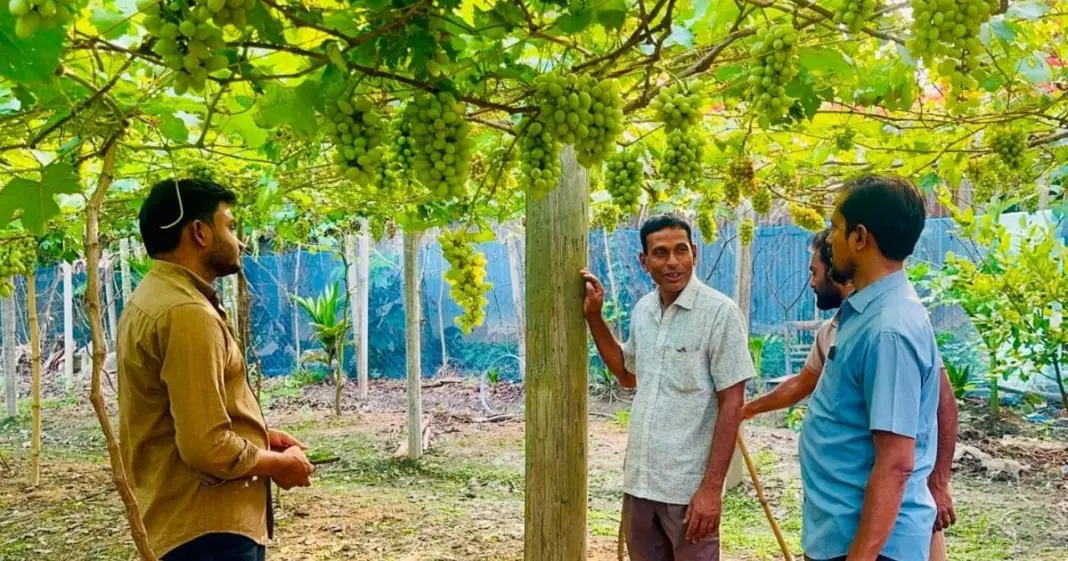 কৃষি গবেষণায় মৌলভীবাজারের সাফল্য: উদ্ভাবন হলো ১১ জাতের ফল কৃষি গবেষণায় মৌলভীবাজারের সাফল্য: উদ্ভাবন হলো ১১ জাতের ফল