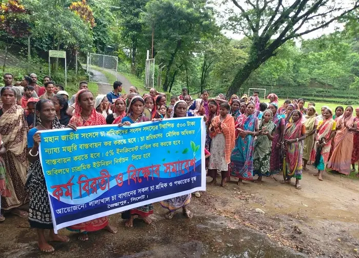 ৫০০ টাকা মজুরির দাবিতে সিলেটে চা শ্রমিকদের কর্মবিরতি