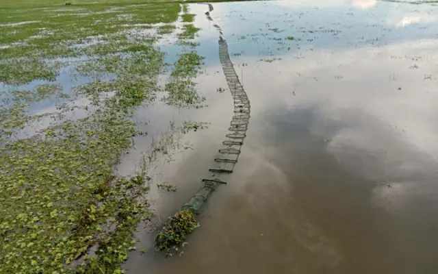 চায়না দুয়ারীর দাপটে সুনামগঞ্জে জলমহালের ইজারাদারা চরম বিপাকে